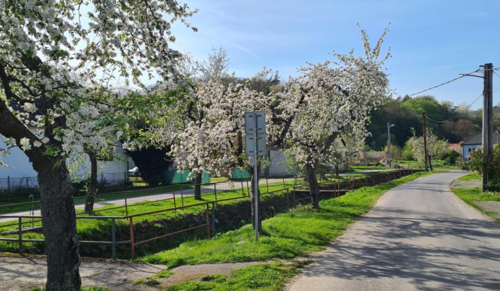 5. fotografia fotogalérie Selce 16.04.2024