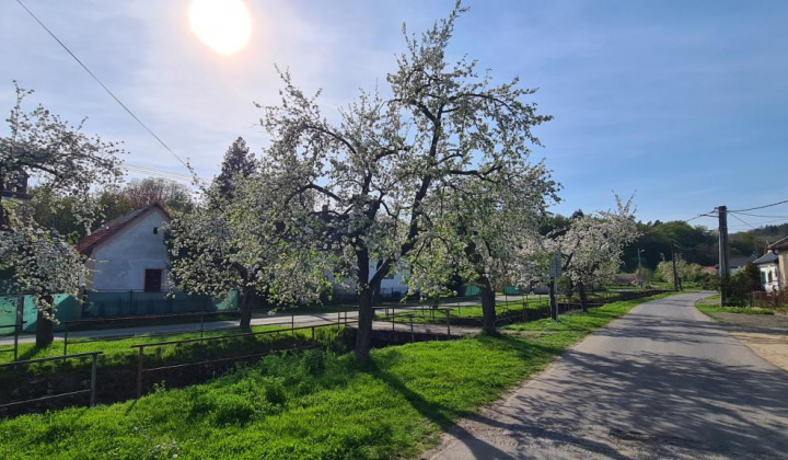 6. fotografia fotogalérie Selce 16.04.2024