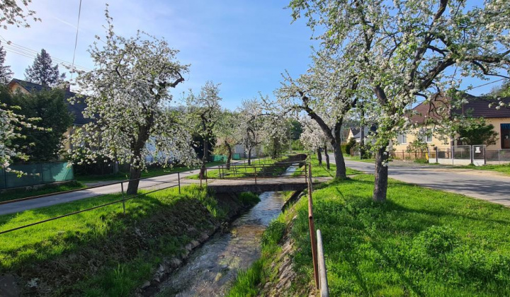 7. fotografia fotogalérie Selce 16.04.2024