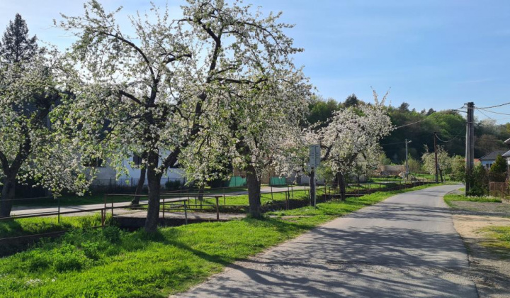 8. fotografia fotogalérie Selce 16.04.2024