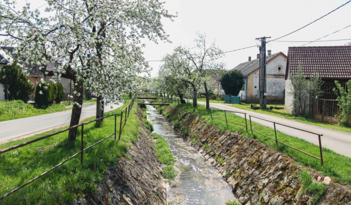 10. fotografia fotogalérie Selce 16.04.2024