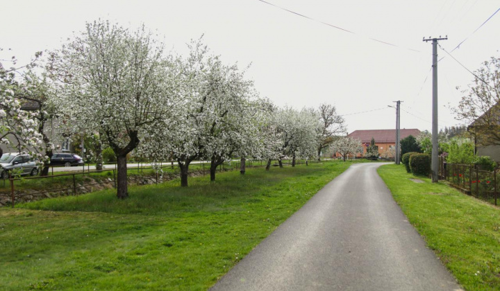 15. fotografia fotogalérie Selce 16.04.2024