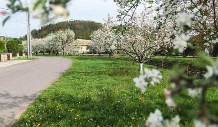 16. fotografia fotogalérie Selce 16.04.2024