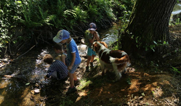 14. fotografia fotogalérie Vatra 2024