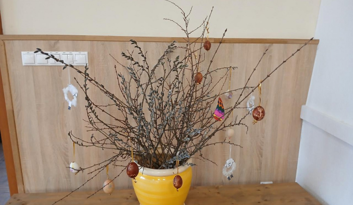 8. fotografia fotogalérie Vítanie jari 2025