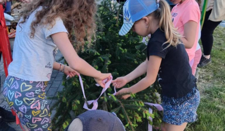 10. fotografia fotogalérie Stavanie mája 2025