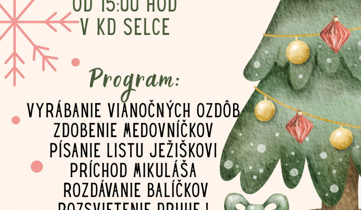 Fotka - Mikulášska nádielka 