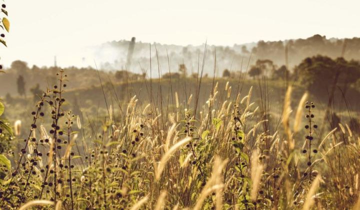 Fotka - Zaburinenie pozemkov mimo hranice zastavaného územia obce - upozornenie